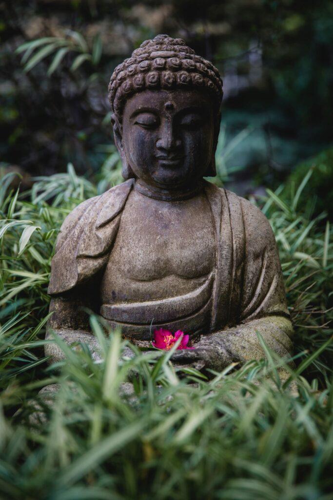 Buddah Stein