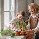 Junges Mädchen und ältere Frau pflanzen Pflanzen in Töpfe